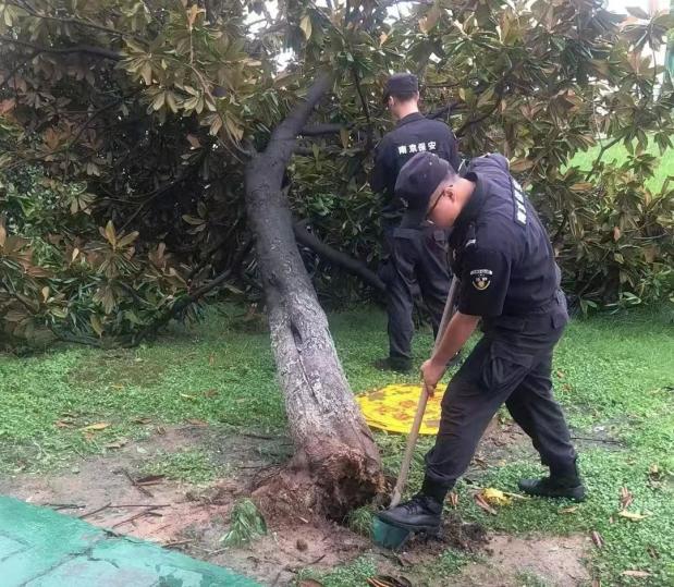 C:/Users/BA/Desktop/风雨过后jn江南体育迅速行动，恢复安“宁”面貌/10.jpg10