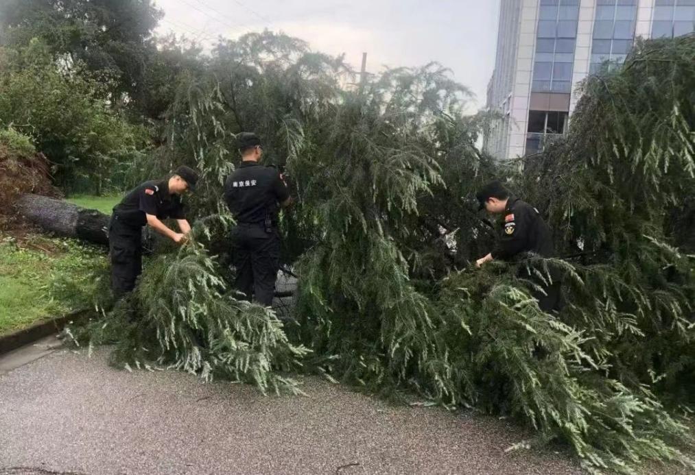 C:/Users/BA/Desktop/风雨过后jn江南体育迅速行动，恢复安“宁”面貌/1.jpg1